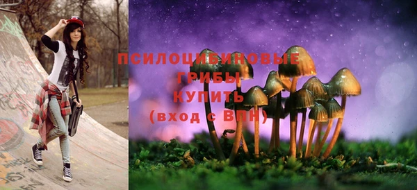MESCALINE Аркадак